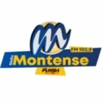Rádio Montense Flash Minas 102.9 FM - Radio BR