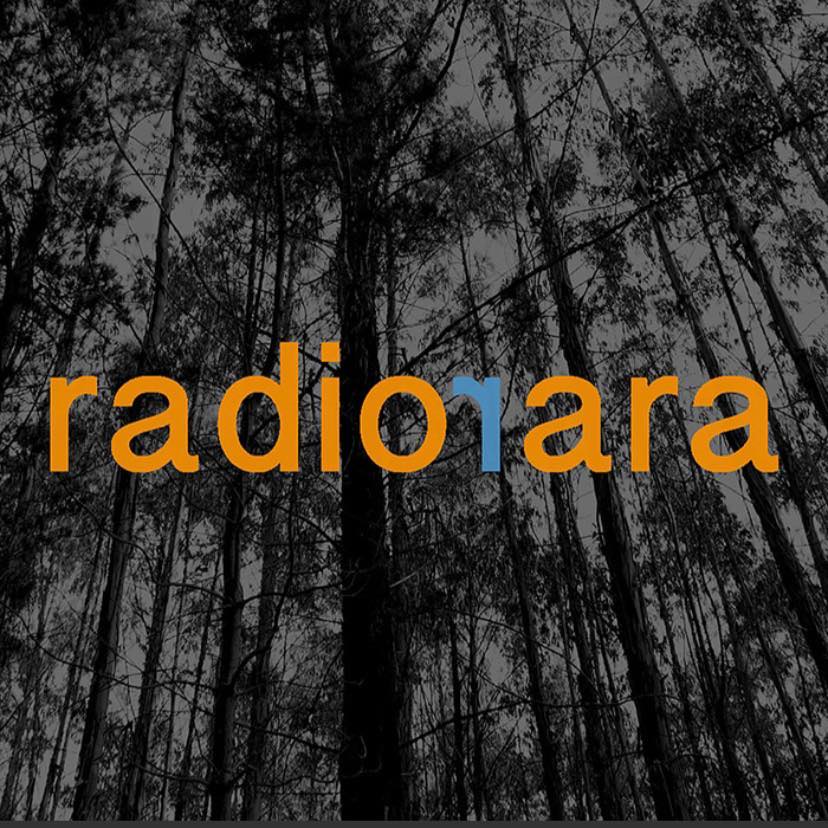 Radiorara - Radio por internet CL