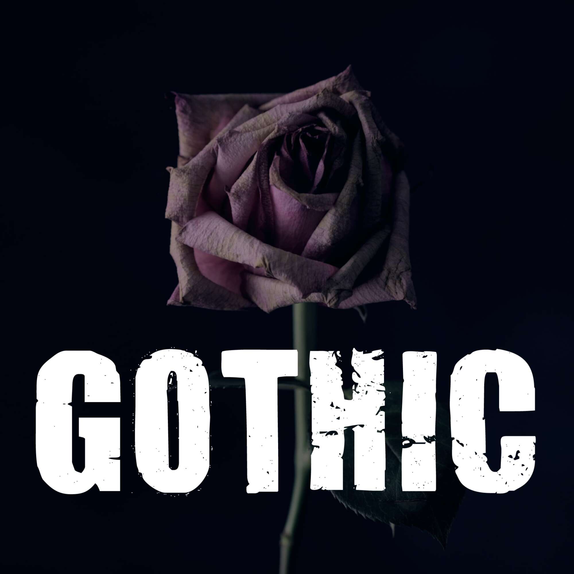 Rock Antenne - Gothic - Radio por internet DE